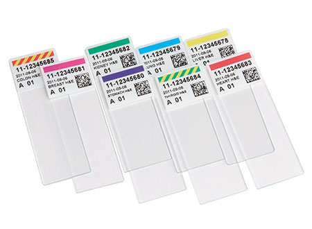 Signature Slide Printer